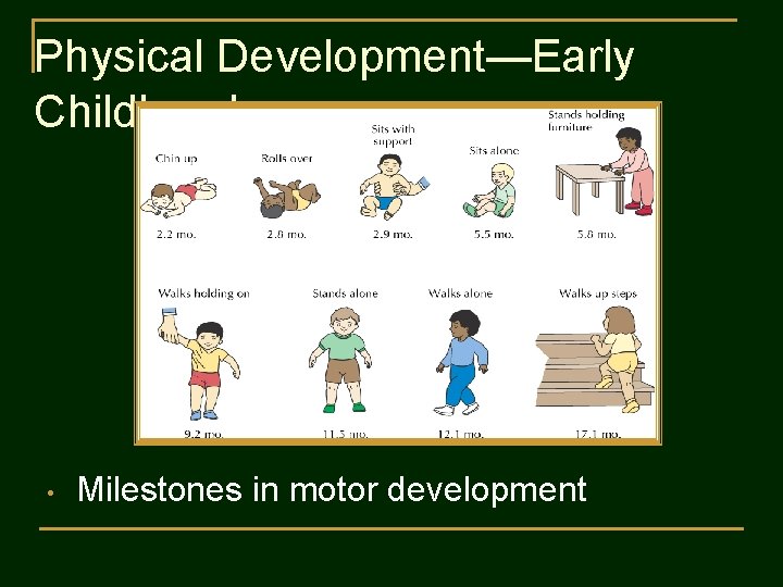 Physical Development—Early Childhood • Milestones in motor development 