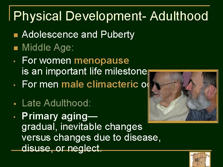 Physical Development- Adulthood n n • • § • Adolescence and Puberty Middle Age: