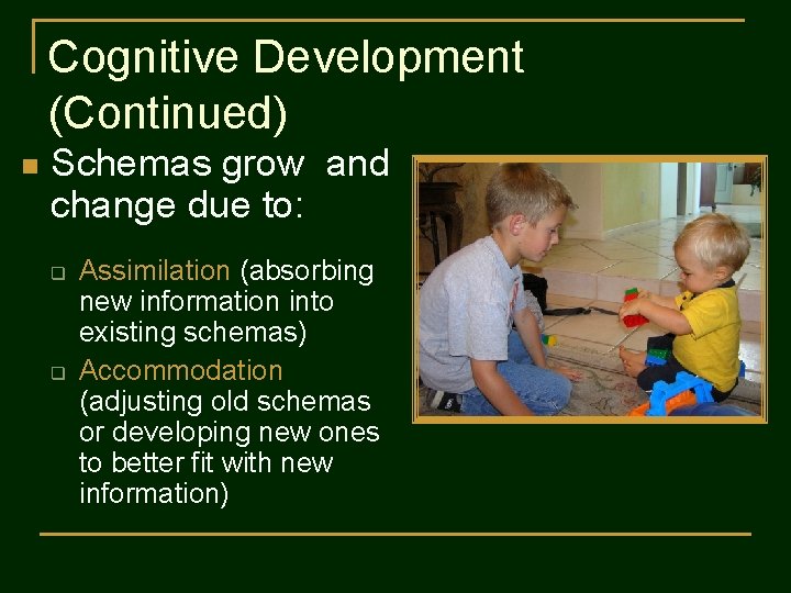 Cognitive Development (Continued) n Schemas grow and change due to: q q Assimilation (absorbing