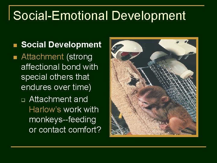 Social-Emotional Development n n Social Development Attachment (strong affectional bond with special others that