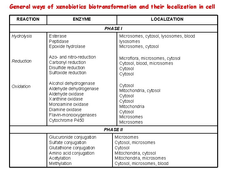 General ways of xenobiotics biotransformation and their localization in cell REACTION ENZYME LOCALIZATION PHASE