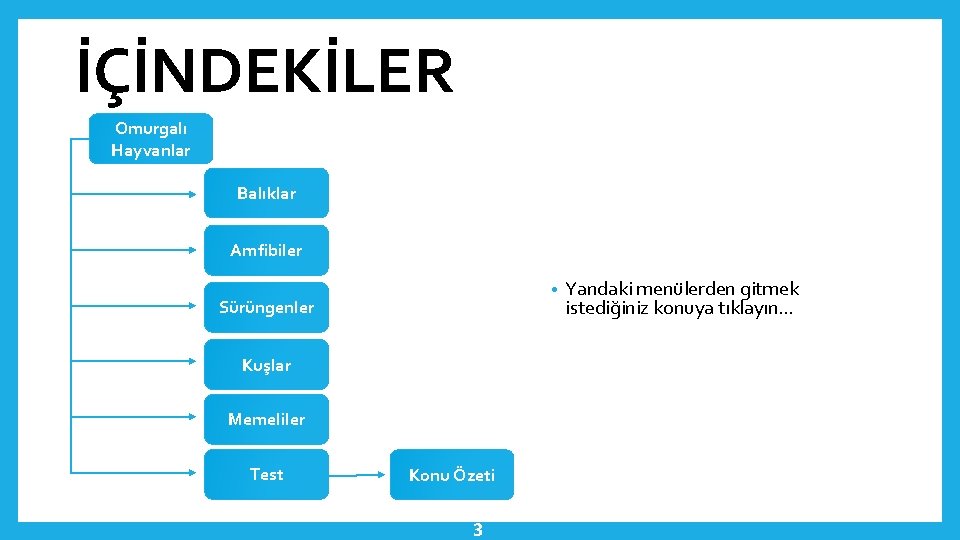 İÇİNDEKİLER Omurgalı Hayvanlar Balıklar Amfibiler • Sürüngenler Kuşlar Memeliler Test Konu Özeti 3 Yandaki