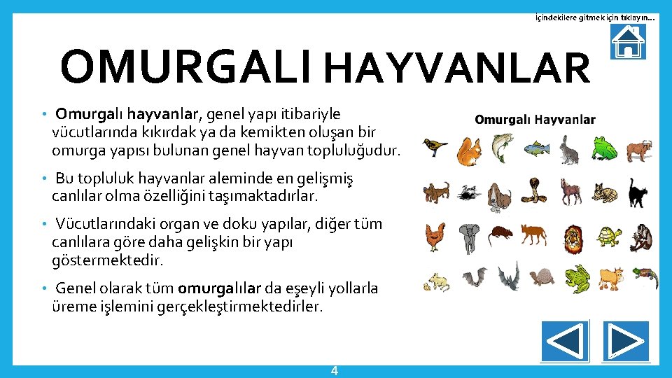 İçindekilere gitmek için tıklayın… OMURGALI HAYVANLAR • Omurgalı hayvanlar, genel yapı itibariyle vücutlarında kıkırdak