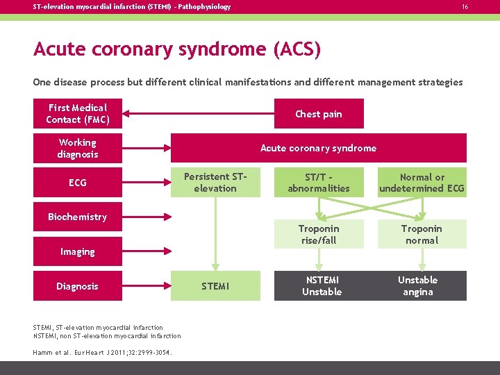 ST-elevation myocardial infarction (STEMI) – Pathophysiology 16 Acute coronary syndrome (ACS) One disease process