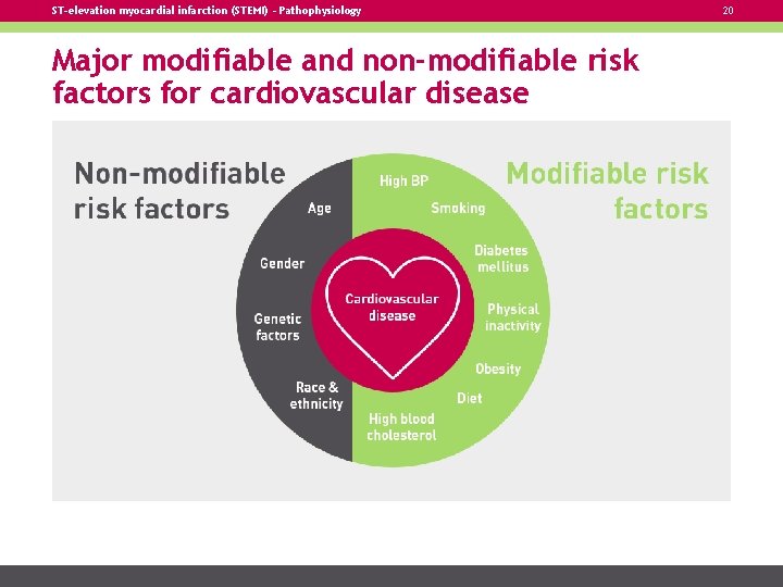 ST-elevation myocardial infarction (STEMI) – Pathophysiology Major modifiable and non-modifiable risk factors for cardiovascular