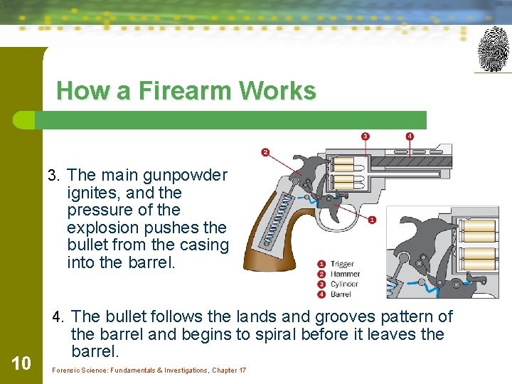 How a Firearm Works 3. The main gunpowder ignites, and the pressure of the
