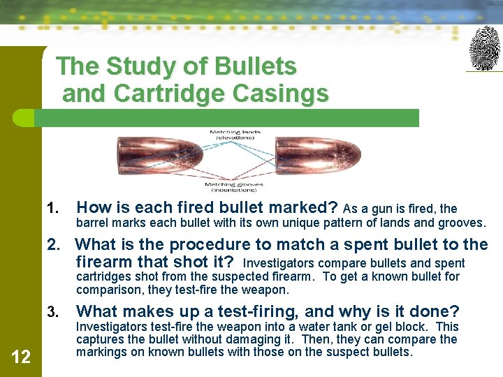 The Study of Bullets and Cartridge Casings 1. How is each fired bullet marked?
