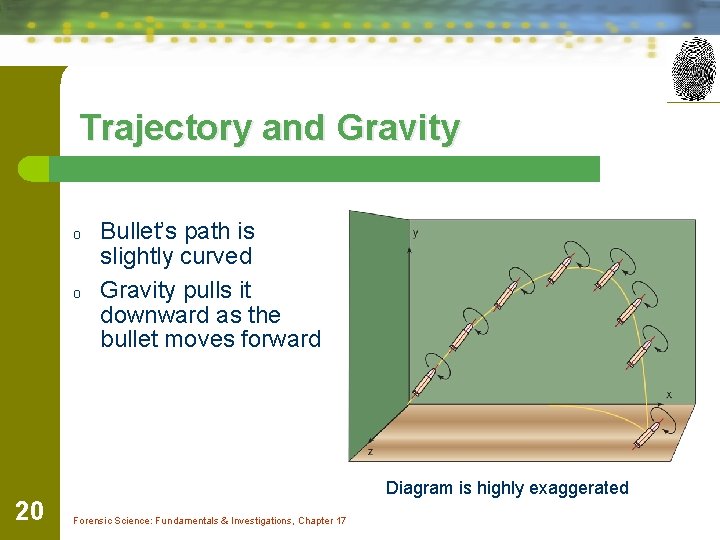 Trajectory and Gravity o o 20 Bullet’s path is slightly curved Gravity pulls it