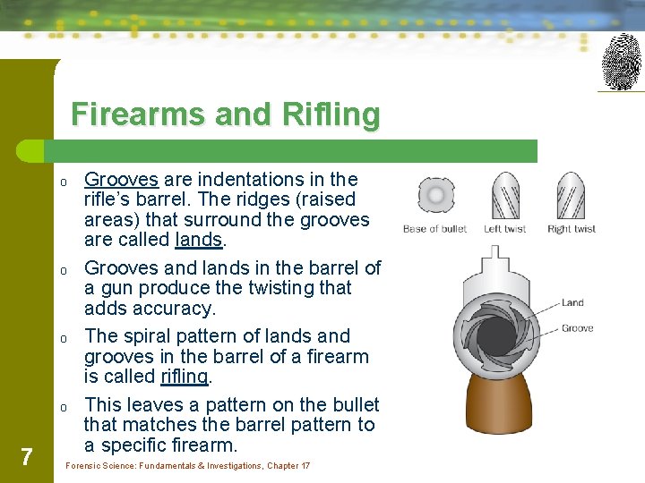 Firearms and Rifling o o 7 Grooves are indentations in the rifle’s barrel. The