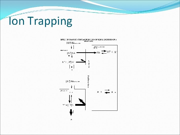 Ion Trapping 