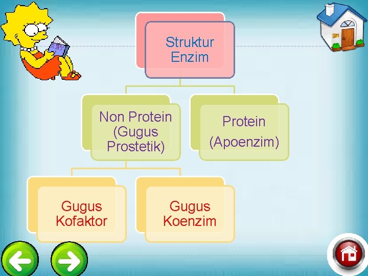 Struktur Enzim Non Protein (Gugus Prostetik) Gugus Kofaktor Protein (Apoenzim) Gugus Koenzim 
