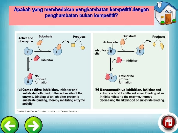 Apakah yang membedakan penghambatan kompetitif dengan penghambatan bukan kompetitif? 