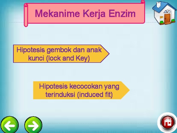 Mekanime Kerja Enzim Hipotesis gembok dan anak kunci (lock and Key) Hipotesis kecocokan yang