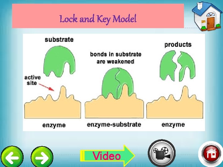 Lock and Key Model Video 