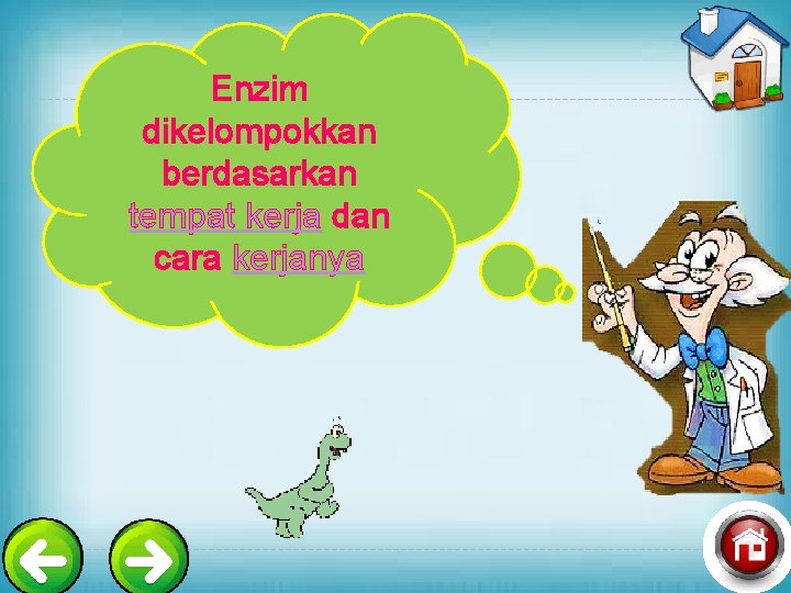 Enzim dikelompokkan berdasarkan tempat kerja dan cara kerjanya 
