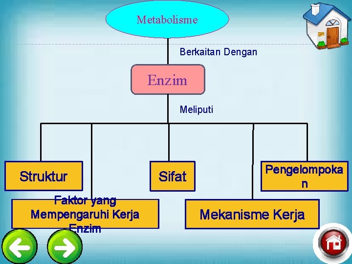Metabolisme Berkaitan Dengan Enzim Meliputi Struktur Faktor yang Mempengaruhi Kerja Enzim Sifat Pengelompoka n