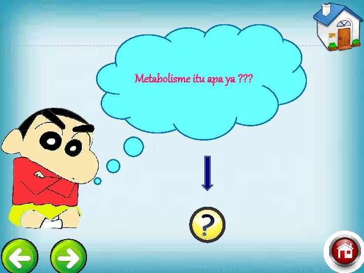 Metabolisme itu apa ya ? ? ? 