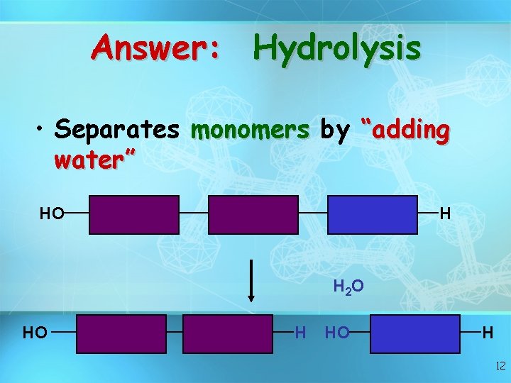 Answer: Hydrolysis • Separates monomers by “adding water” HO H H 2 O HO