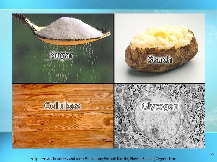 http: //www. chemistryland. com/Elementary. School/Building. Blocks/Building. Organic. htm 23 http: //www. chemistryland. com/Elementary. School/Building. Blocks/Building. Organic. htm 23