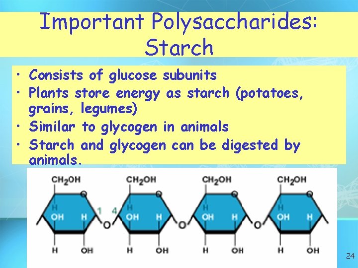 Important Polysaccharides: Starch • Consists of glucose subunits • Plants store energy as starch