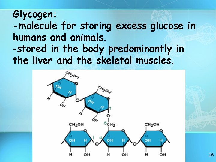 Glycogen: -molecule for storing excess glucose in humans and animals. -stored in the body