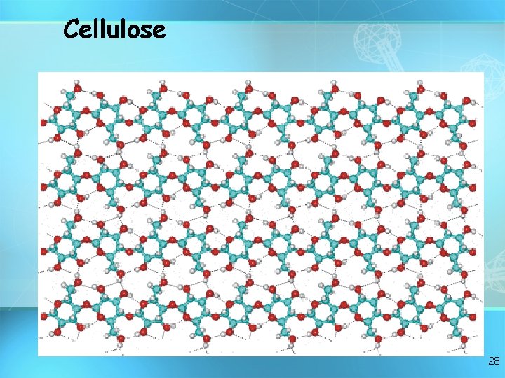 Cellulose 28 Cellulose 28