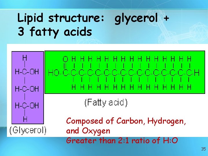 Lipid structure: glycerol + 3 fatty acids Composed of Carbon, Hydrogen, and Oxygen Greater