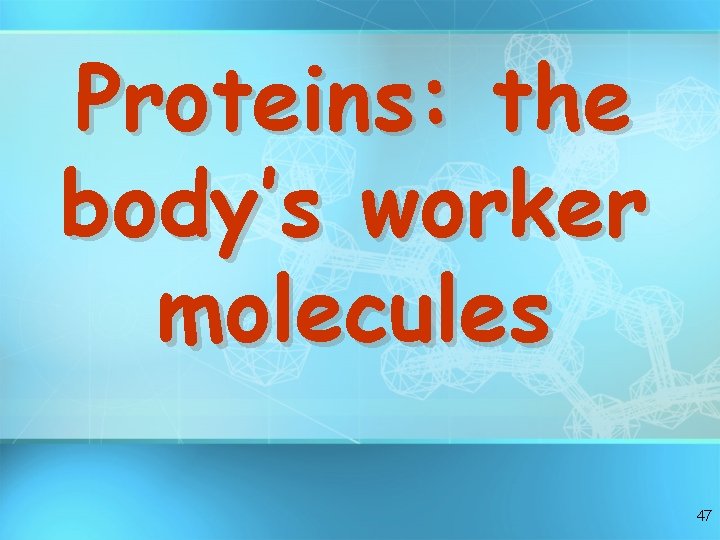 Proteins: the body’s worker molecules 47 Proteins: the body’s worker molecules 47