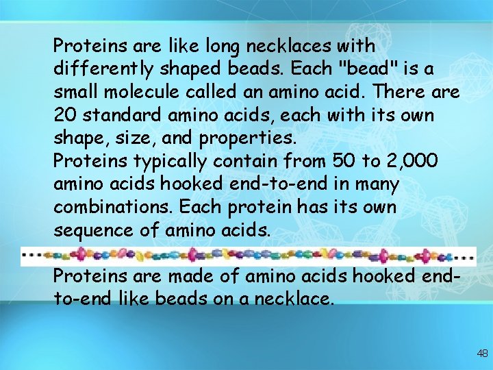 Proteins are like long necklaces with differently shaped beads. Each "bead" is a small