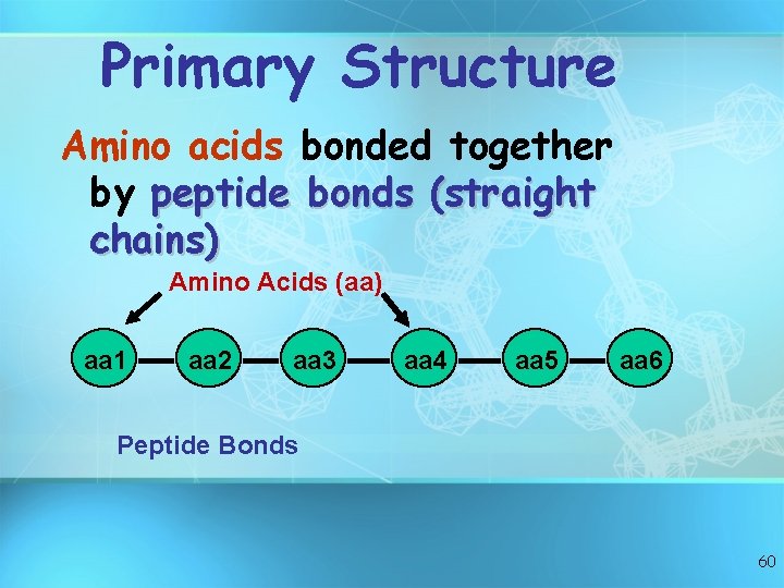 Primary Structure Amino acids bonded together by peptide bonds (straight chains) Amino Acids (aa) Primary Structure Amino acids bonded together by peptide bonds (straight chains) Amino Acids (aa)