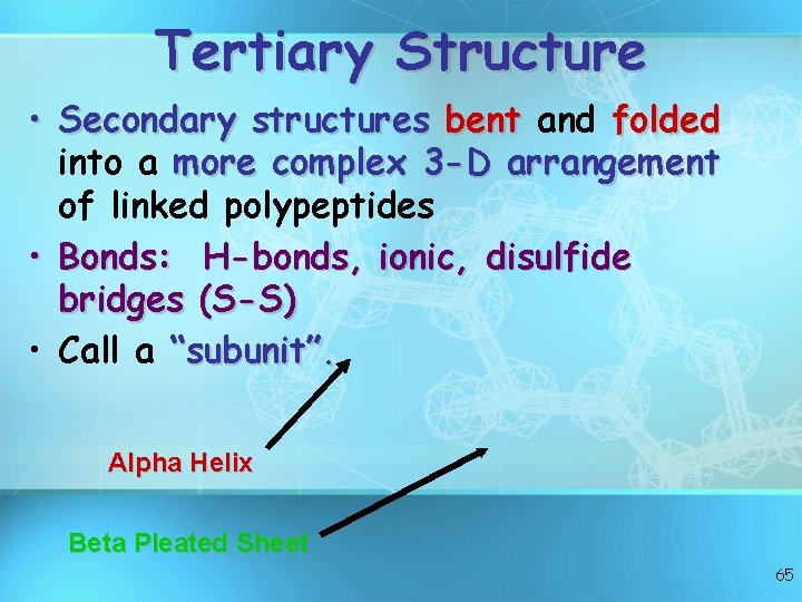 Tertiary Structure • Secondary structures bent and folded into a more complex 3 -D Tertiary Structure • Secondary structures bent and folded into a more complex 3 -D