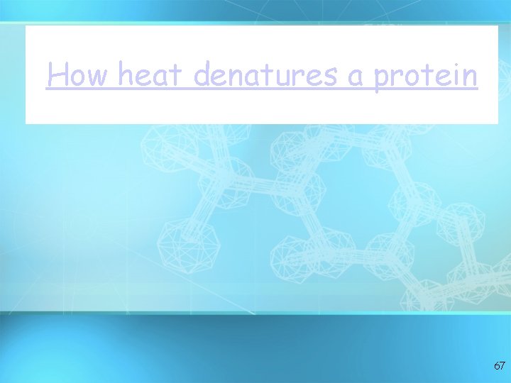 How heat denatures a protein 67 How heat denatures a protein 67