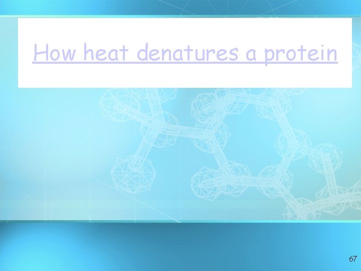 How heat denatures a protein 67 