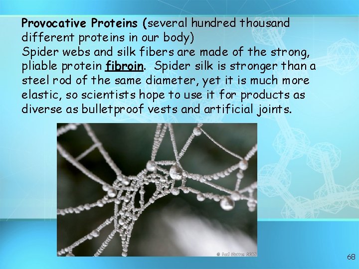 Provocative Proteins (several hundred thousand different proteins in our body) Spider webs and silk