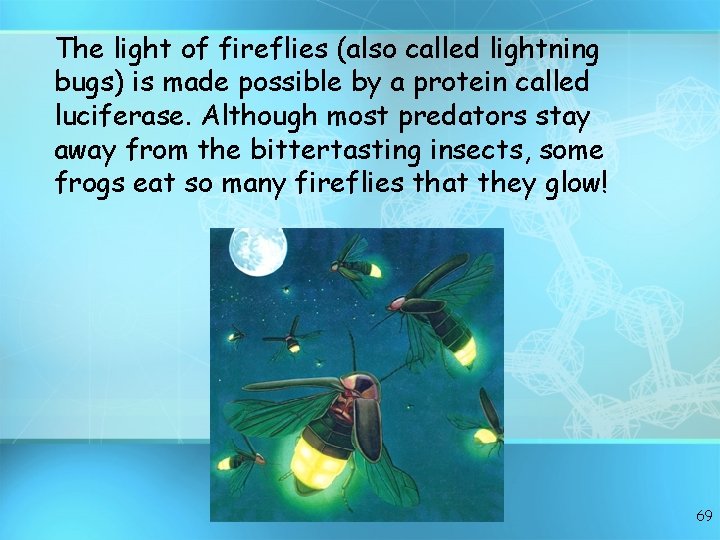 The light of fireflies (also called lightning bugs) is made possible by a protein The light of fireflies (also called lightning bugs) is made possible by a protein