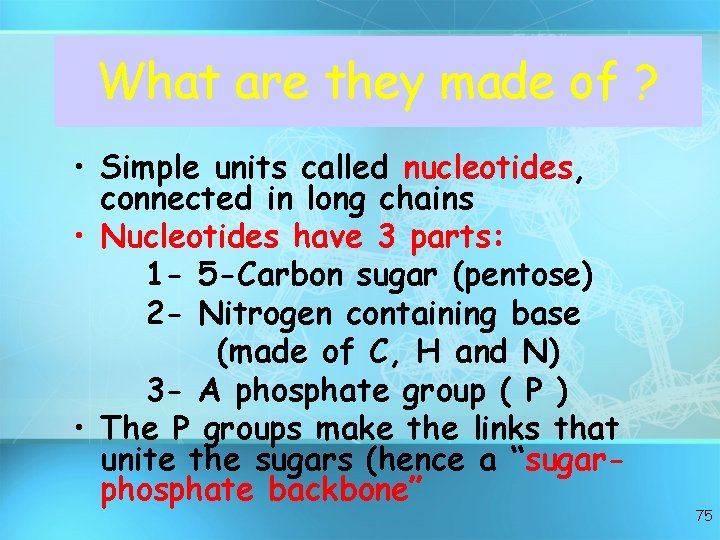 What are they made of ? • Simple units called nucleotides, connected in long