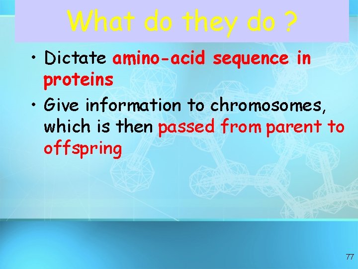 What do they do ? • Dictate amino-acid sequence in proteins • Give information What do they do ? • Dictate amino-acid sequence in proteins • Give information