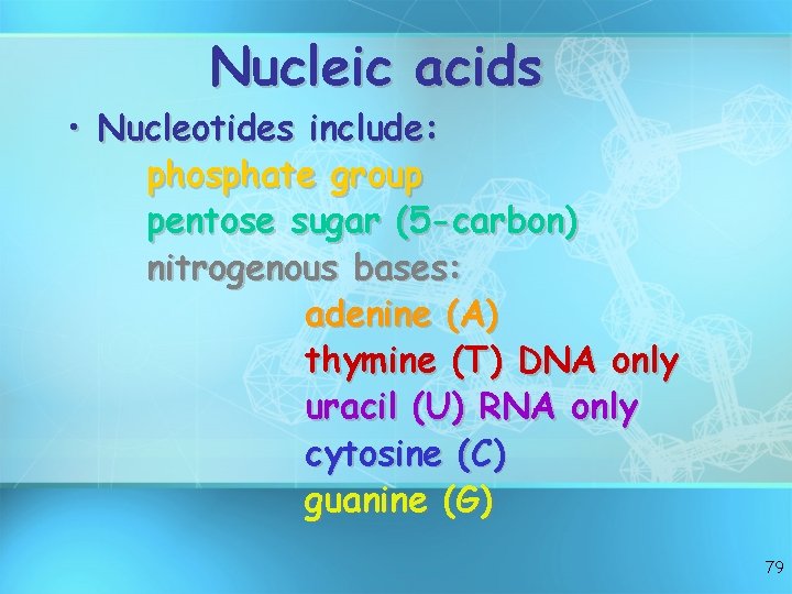 Nucleic acids • Nucleotides include: phosphate group pentose sugar (5 -carbon) nitrogenous bases: adenine Nucleic acids • Nucleotides include: phosphate group pentose sugar (5 -carbon) nitrogenous bases: adenine