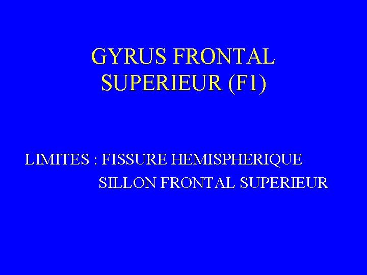 GYRUS FRONTAL SUPERIEUR (F 1) LIMITES : FISSURE HEMISPHERIQUE SILLON FRONTAL SUPERIEUR 