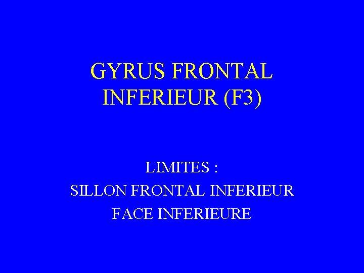 GYRUS FRONTAL INFERIEUR (F 3) LIMITES : SILLON FRONTAL INFERIEUR FACE INFERIEURE 