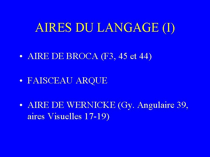 AIRES DU LANGAGE (I) • AIRE DE BROCA (F 3, 45 et 44) •