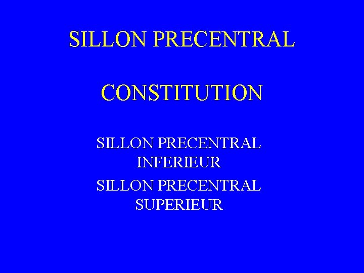 SILLON PRECENTRAL CONSTITUTION SILLON PRECENTRAL INFERIEUR SILLON PRECENTRAL SUPERIEUR 