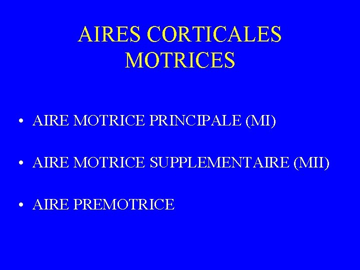 AIRES CORTICALES MOTRICES • AIRE MOTRICE PRINCIPALE (MI) • AIRE MOTRICE SUPPLEMENTAIRE (MII) •