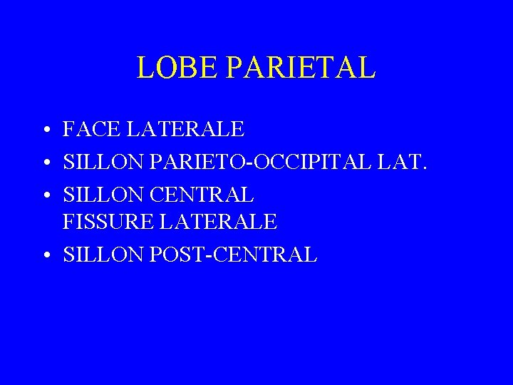 LOBE PARIETAL • FACE LATERALE • SILLON PARIETO-OCCIPITAL LAT. • SILLON CENTRAL FISSURE LATERALE