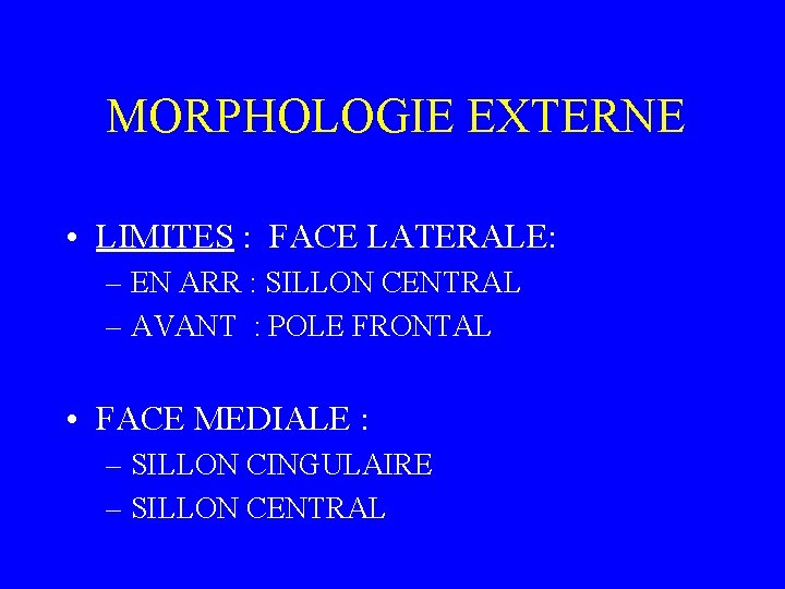 MORPHOLOGIE EXTERNE • LIMITES : FACE LATERALE: – EN ARR : SILLON CENTRAL –