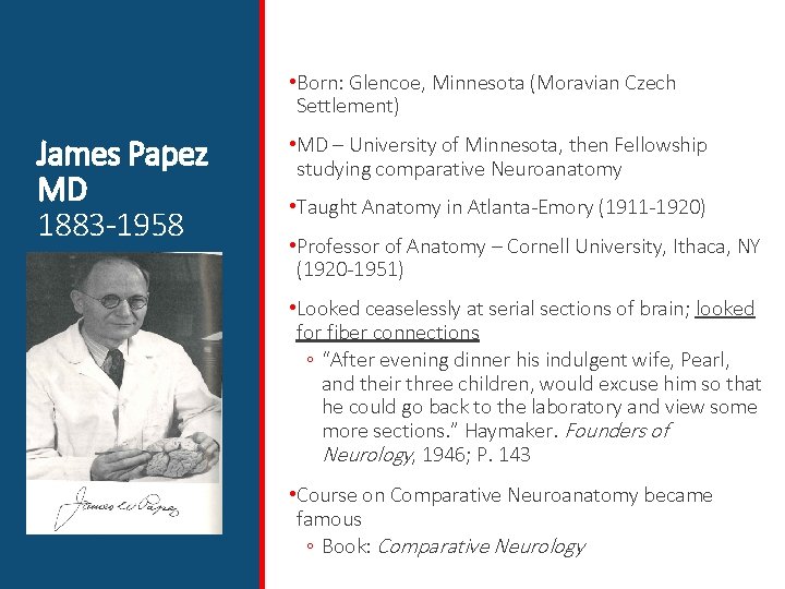  • Born: Glencoe, Minnesota (Moravian Czech Settlement) James Papez MD 1883 -1958 •