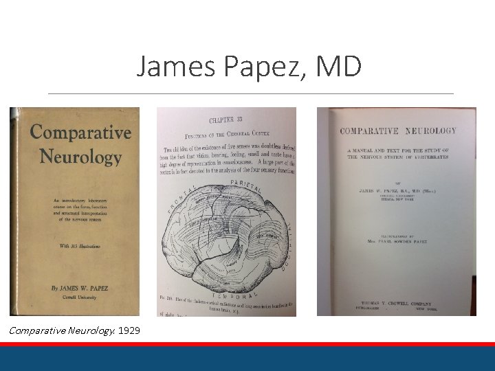 James Papez, MD Comparative Neurology. 1929 