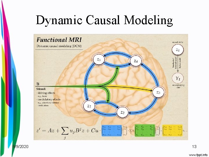 Dynamic Causal Modeling 9/9/2020 13 