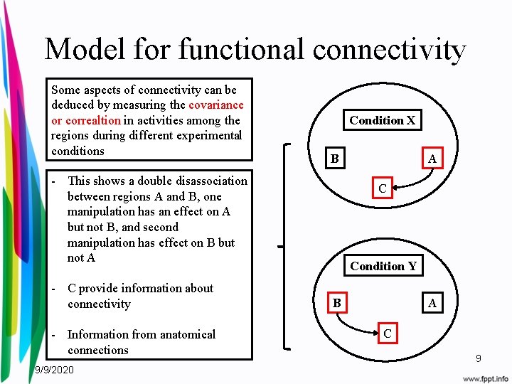 Model for functional connectivity Some aspects of connectivity can be deduced by measuring the