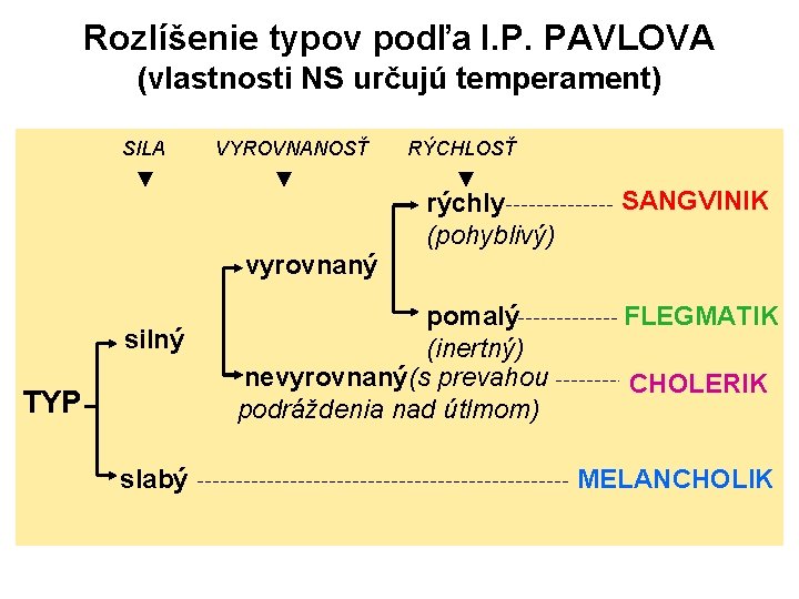 Rozlíšenie typov podľa I. P. PAVLOVA (vlastnosti NS určujú temperament) SILA VYROVNANOSŤ RÝCHLOSŤ ▼